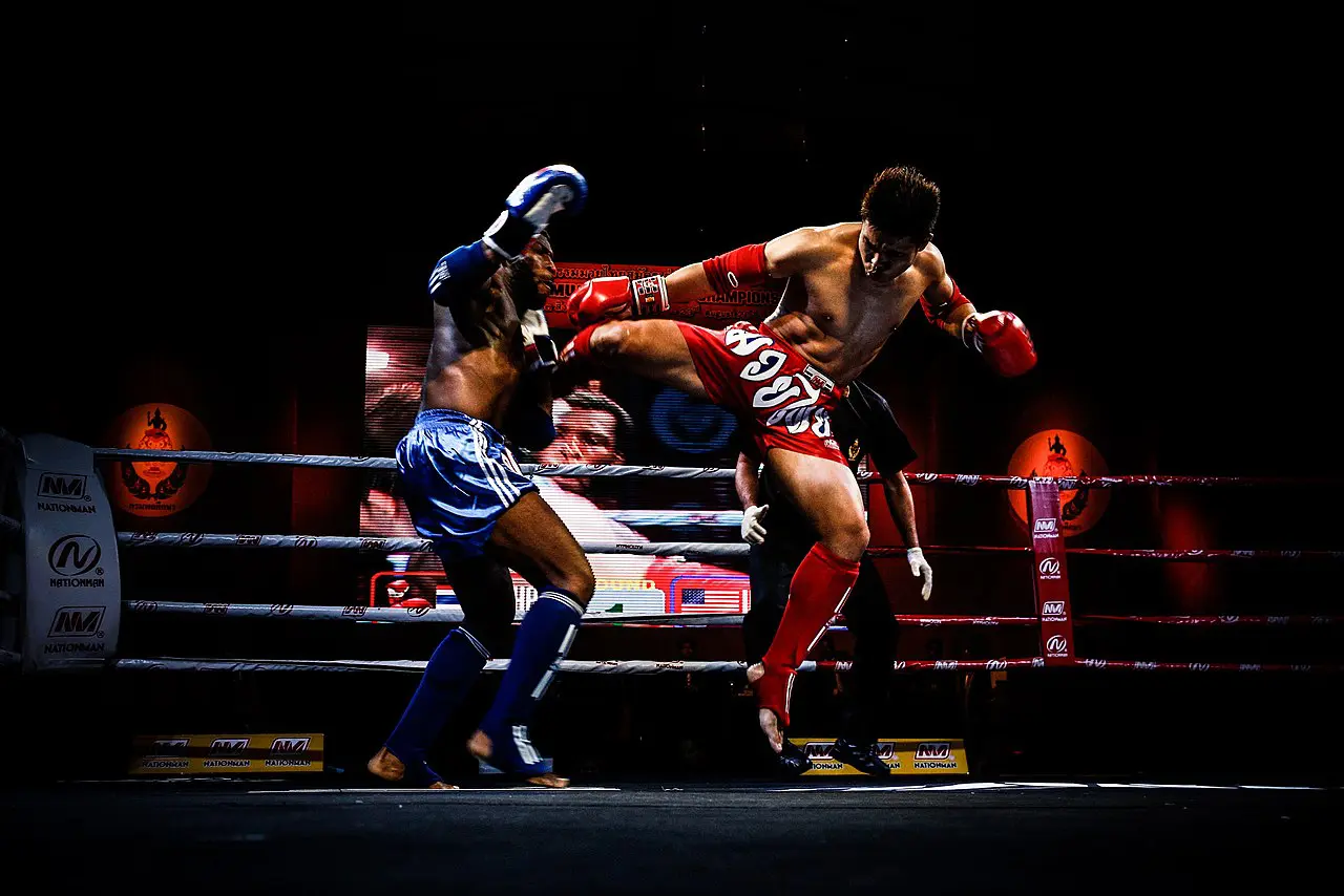 Les plus grands combattants de Muay Thai