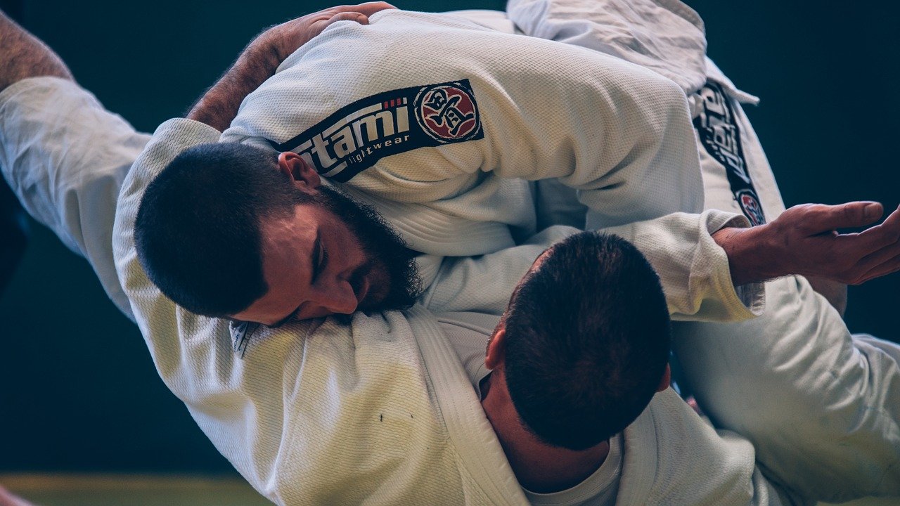 Les plus grands combattants de judo