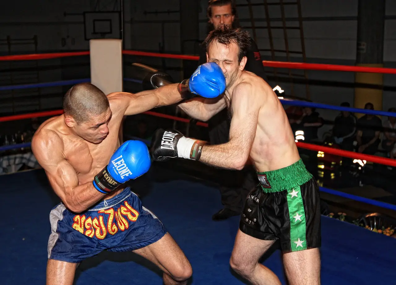 L'arbitrage en MMA