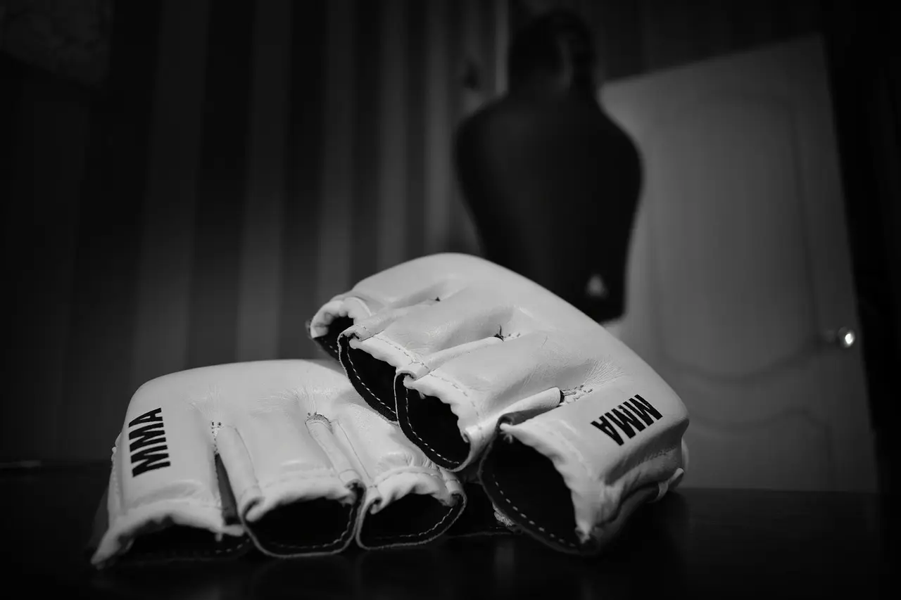 Le MMA et le casino
