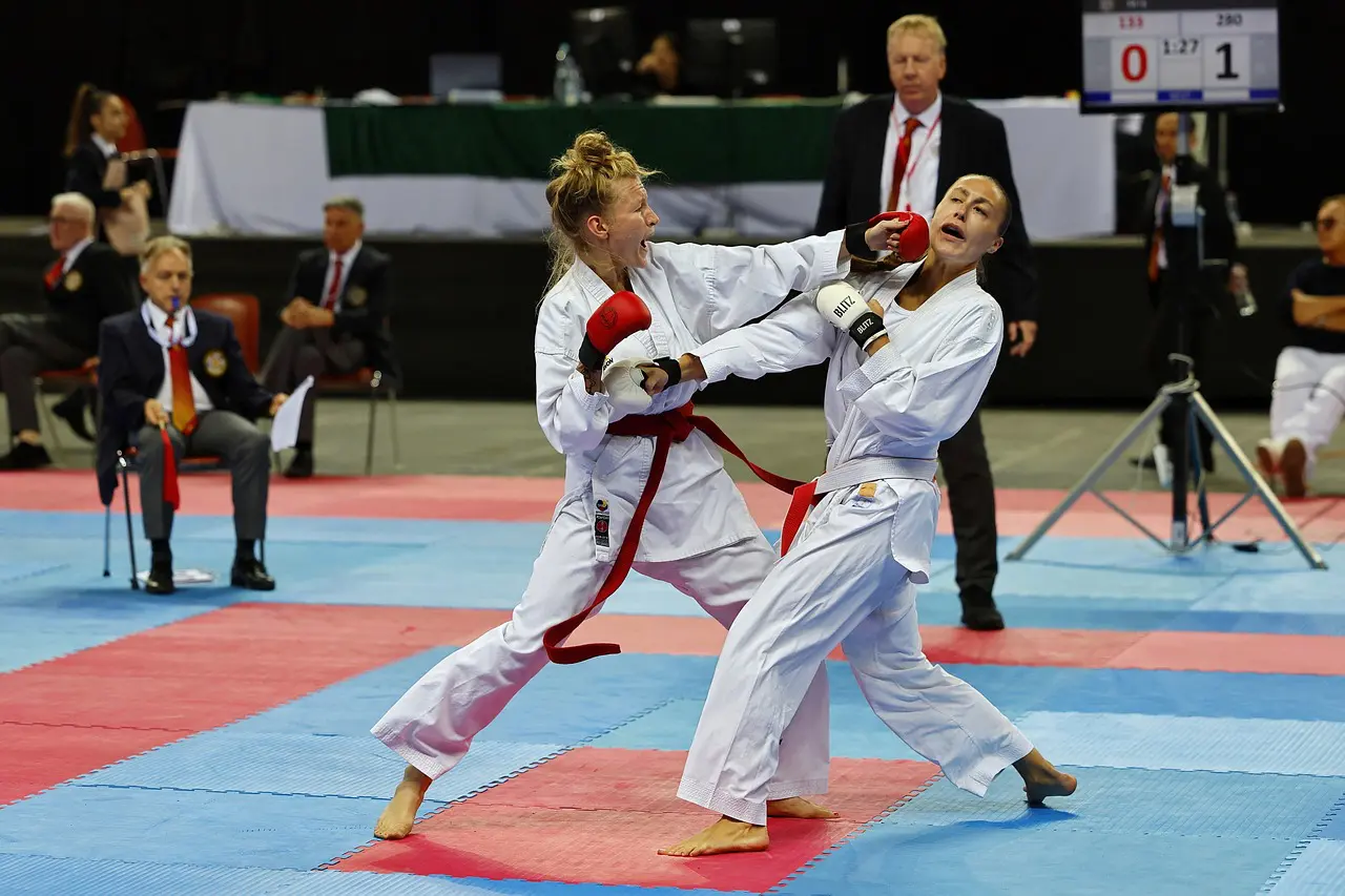 Les arts martiaux aux JO