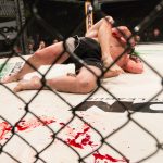 Les styles de combat au MMA