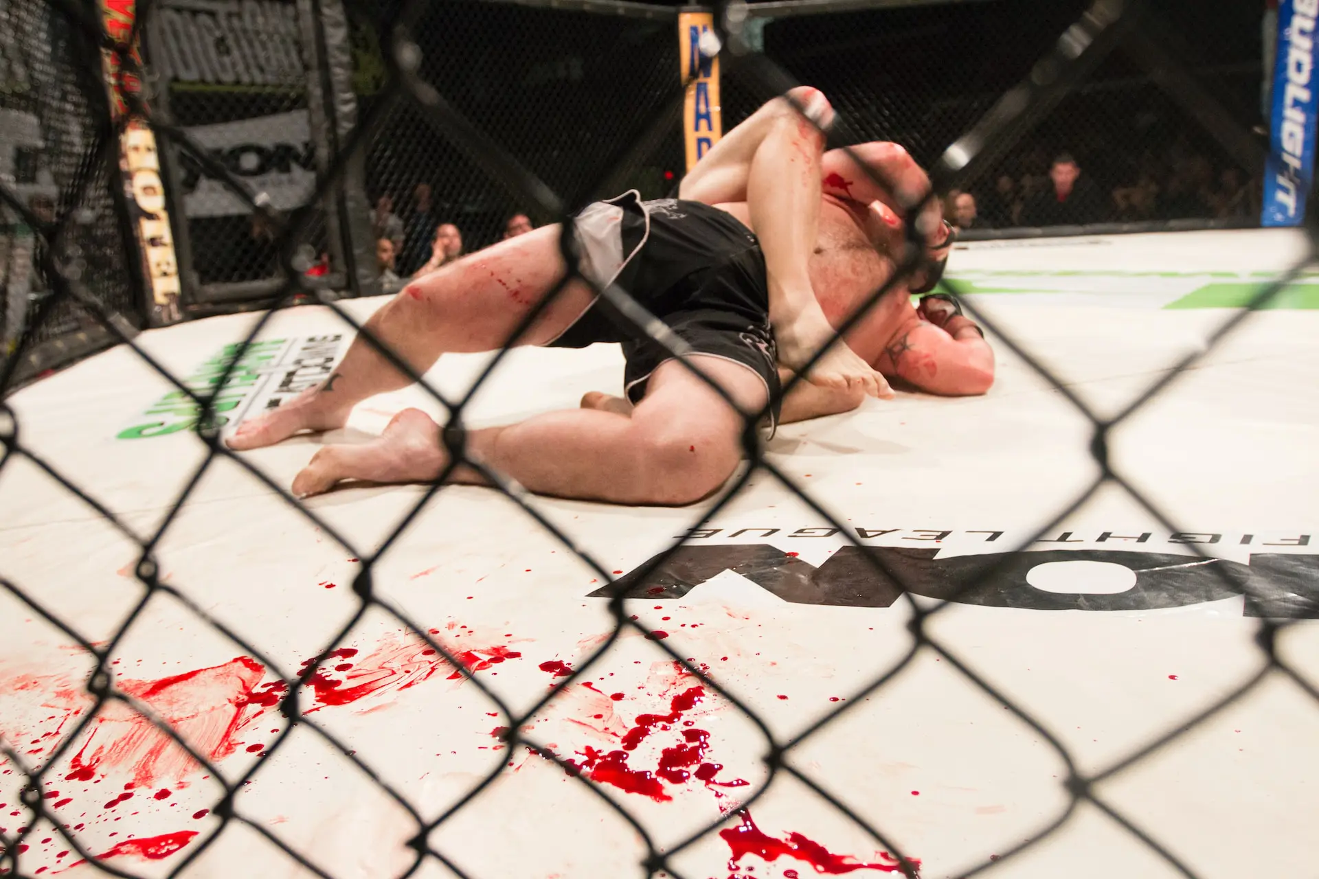 Les styles de combat au MMA