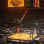 Les plus grands champions de MMA