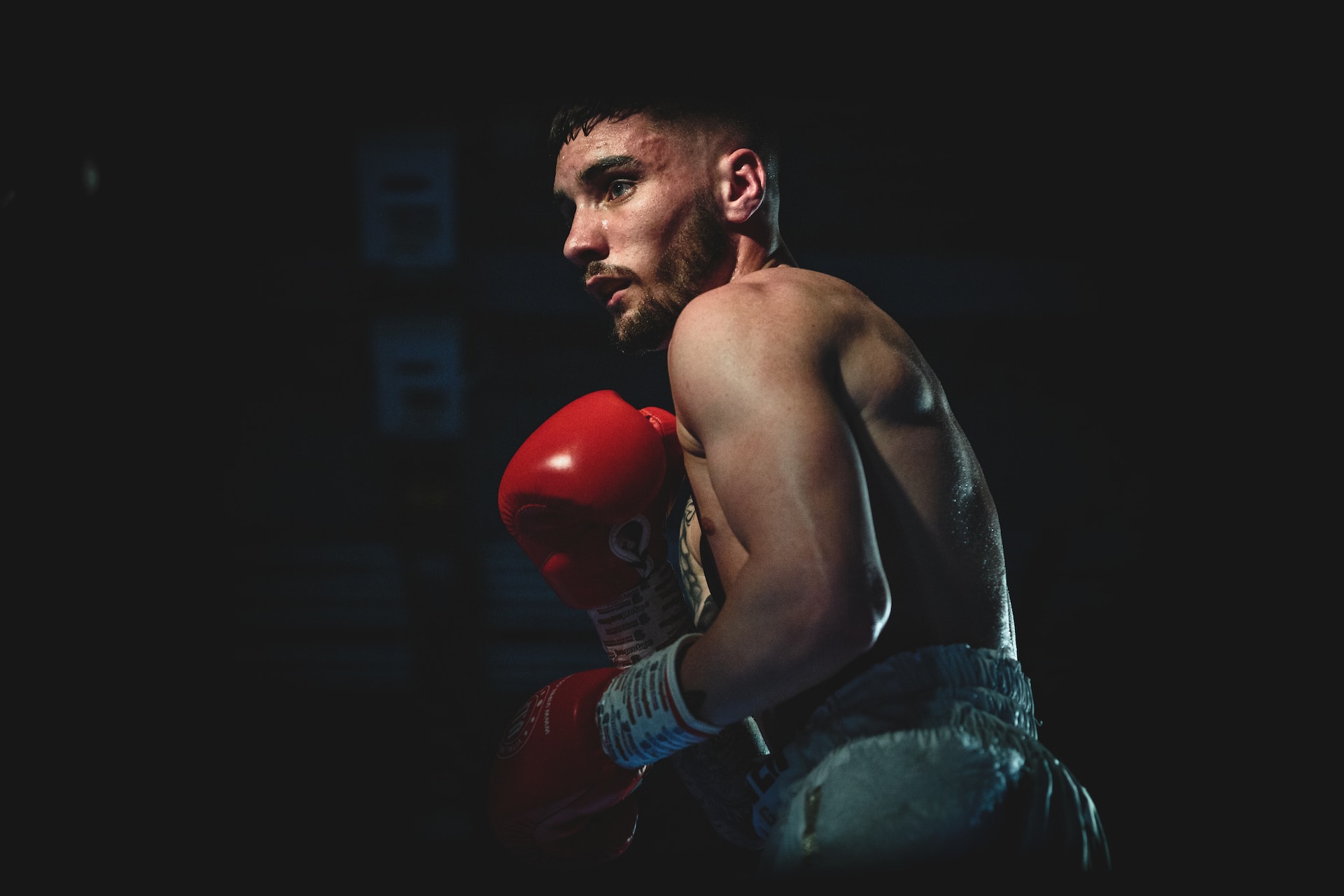 Le sport de combat