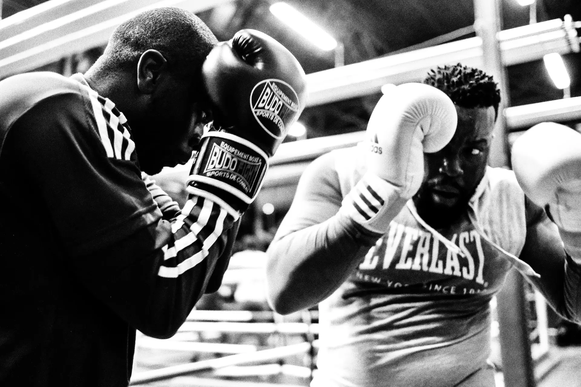 S'entraîner à la boxe