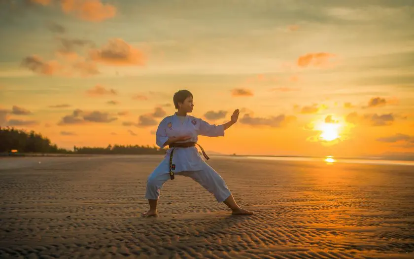 Arts martiaux ou sport de combat