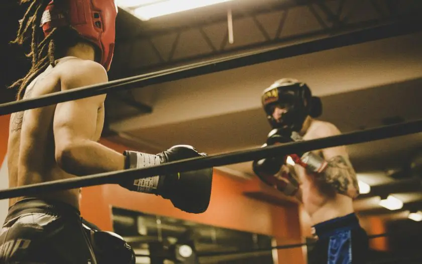 Les promotions de sports de combat