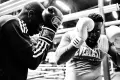 Le meilleur sport de combat